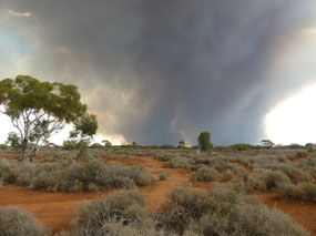 Closest fire
