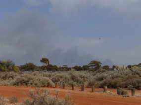 Fires