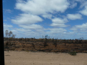 burnt area Norseman to Hyden