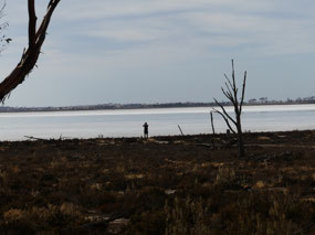 salt lake