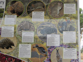 Wadderin sanctuary