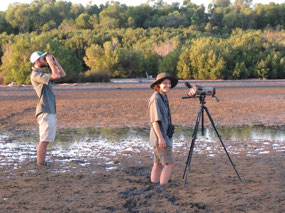 looking for birds
