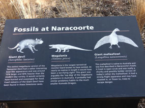 Naracoorte