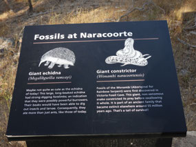 Naracoorte