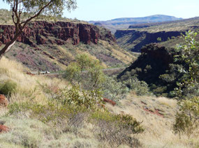 Albert Tognalini lookout