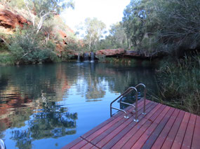 Fern pool dales gorge
