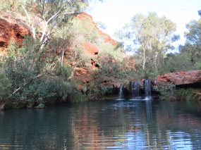 Fortesque falls Dales