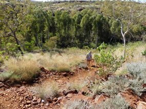 Into Weano Gorge
