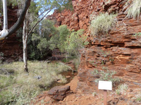 Wean Gorge