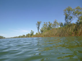 Deep reach pool
