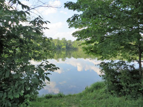 View from the RV