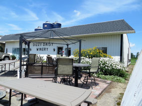 Dizzy Daisy Winery
