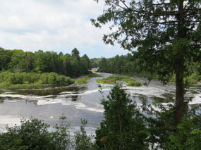 Lower Falls