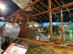 Air Zoo