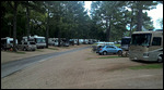Tallahassee RV view