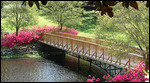 Mirror Lake Bridge