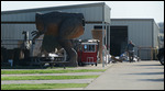 T-Rex