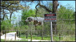 Behind High Voltage sign