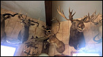 Taxidermy at Mikeska's BBQ 