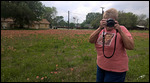 Indian Paintbrush photographer