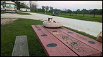 Nattie outside on the watermelon table
