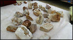 LOTS of rocks