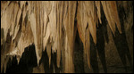 Close up of the Curtains