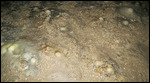 This is how the Stalagmites start