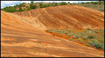 Fantastic rock waves right near Needles Overlook