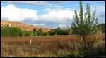 From the RV park- La Sal Mtns