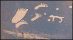 Big and Little feet with dog?