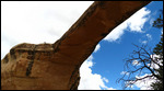 Owachomo Bridge from under it