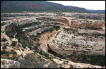 White Canyon with Cedar Mesa Sandstone layer