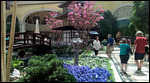 Bellagio conservatory Spring theme