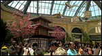 Inside the conservatory at Bellagio