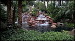 Inside the Mirage