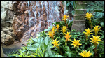 Mirage waterfall entrance
