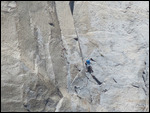 El Cap climbers