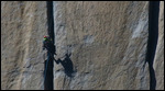 El Cap climbers