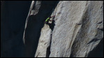 El Cap climbers