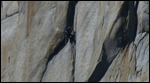 El Cap climbers