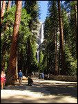 Upper and Lower Yosemite Falls