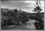 Garden during WWII