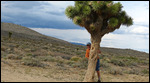 Joshua Tree and some goofball