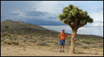 Joshua Tree with an orange man