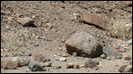 Typical rocks in the desert