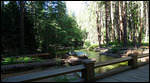 Yosemite Falls trail