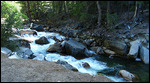 Stream along Mirror Lake trail