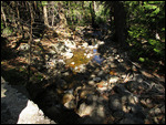 Stream near Yosemite Falls
