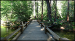 Yosemite Falls trail